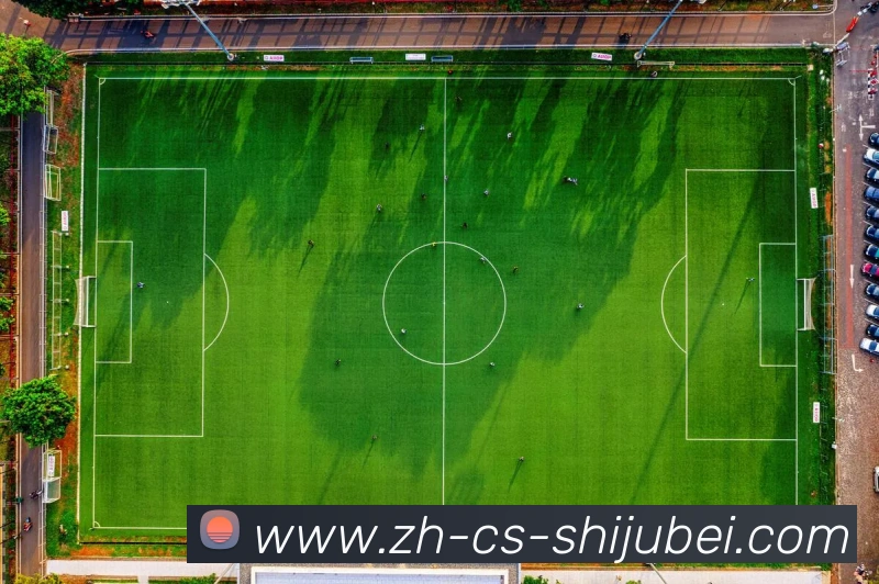 多媒体互动体验